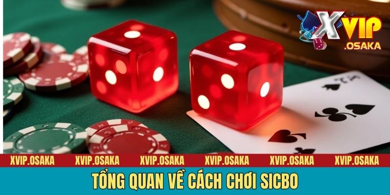 Tổng quan về cách chơi sicbo
