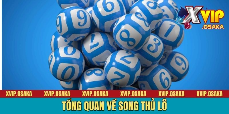 Tổng quan về song thủ lô