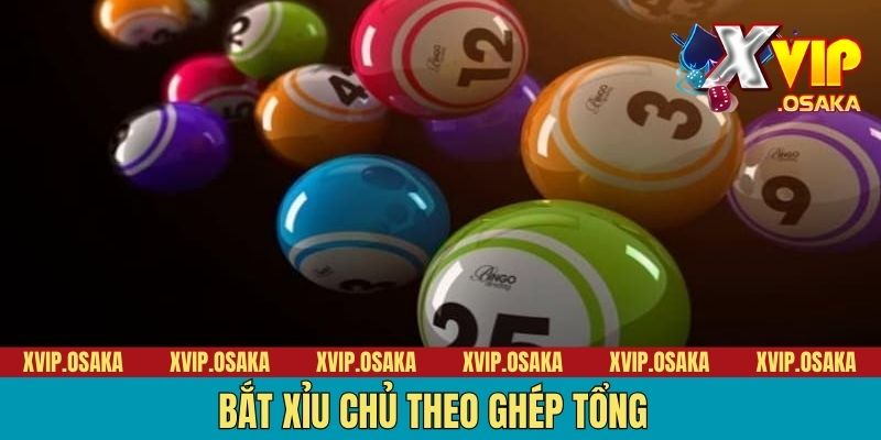 Bắt xỉu chủ theo ghép tổng