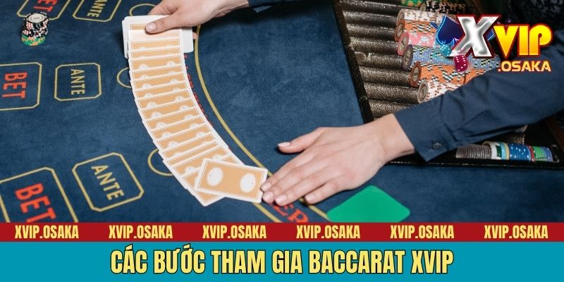 Các bước tham gia Baccarat XVIP