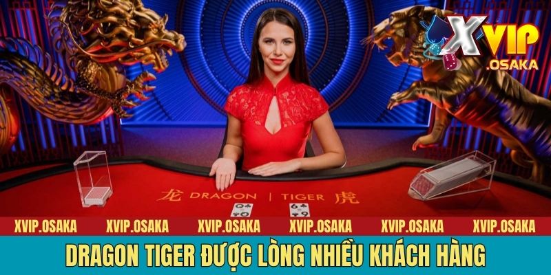Dragon Tiger được lòng nhiều khách hàng