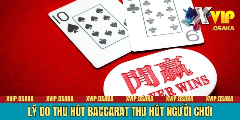 Lý do thu hút Baccarat thu hút người chơi