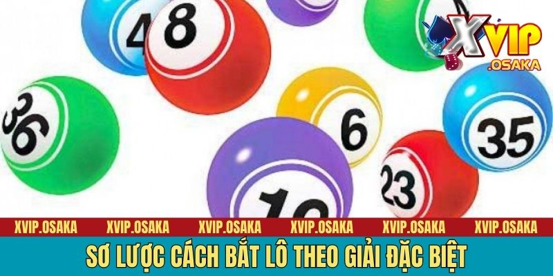 Sơ lược cách bắt lô theo giải đặc biệt