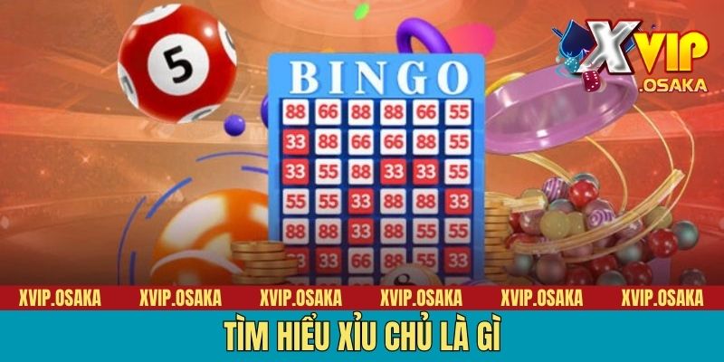 Tìm hiểu xỉu chủ là gì