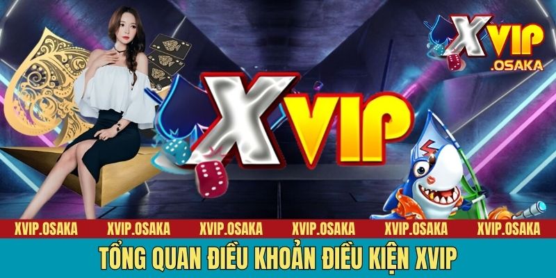 Tổng quan điều khoản điều kiện XVIP