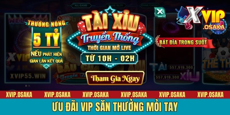 Ưu đãi VIP săn thưởng mỏi tay